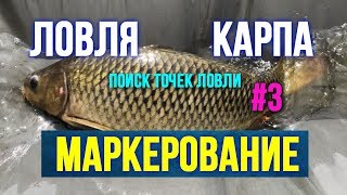 Как определить перспективное место ловли карпа