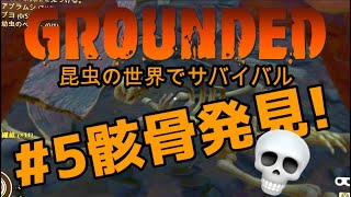 【Grounded :グランデッド】#5 昆虫の世界で生存を目指すミクロサイズ・サバイバルゲーム 女性実況【Steam】