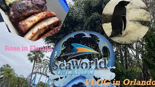 シーワールドオーランドでの一日/SeaWorld Orlando,Florida #seaworldorlando #seaworld #フロリダ #シーワールド