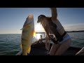 BIG Perch on Lake Erie - Fishing Longpoint Bay #perchfishing #girlswhofish