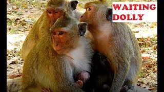 Feeling Sad! All Member Waiting Alpha Dolly Come back