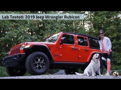 2019 Jeep Wrangler Unlimited Rubicon: Andie the Lab Review! Video
