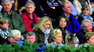 Video of For Romance II