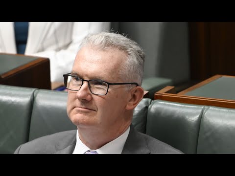 Home Affairs gave $62,000 to Muslim ‘peace’ group to strengthen ‘social cohesion’