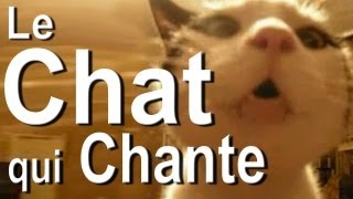 010 LE CHAT QUI CHANTE