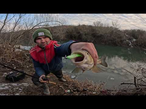 Pescuit la Clean pe Crisul Alb( Iarna cu Gume 4 Ianuarie 2026)