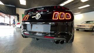 2013 Ford Shelby GT500: Cold Start