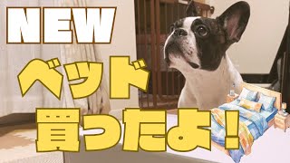 睡眠は超重要だから新調しました🛏️　　　　　　　　　　　　　　　　　　　　　　    "Sleep is super important, so I got a new one."