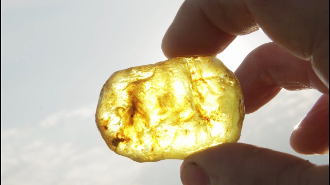 AMBER: THE LIVING STONE (BURSZTYN: ŻYJĄCY KAMIEŃ)