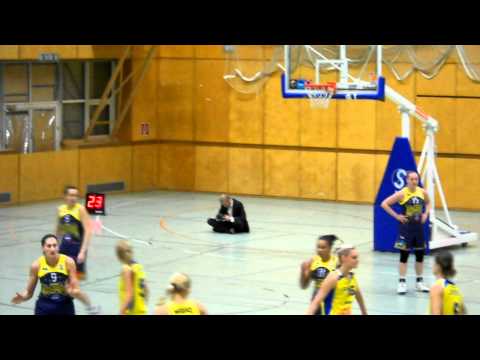 Flying Foxes Post Wien-Baschet Club ICIM Arad