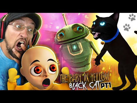 Baby in Yellow has a NEWt Friend! (Black Cat Update)