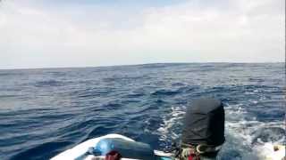 preview picture of video 'Zihuatanejo sail fishing'