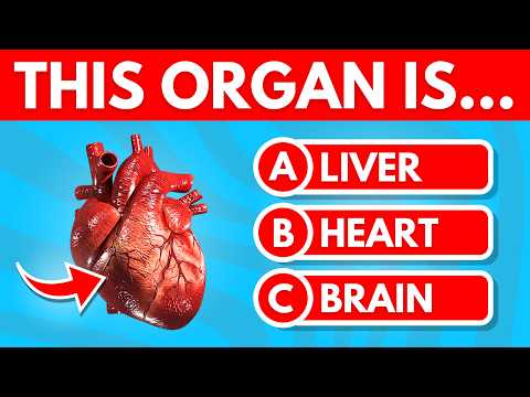 MEGA General Knowledge Quiz 🤔 | 150 Questions | Ultimate 1 Hour Trivia Marathon