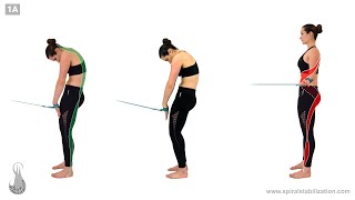 Exercițiul nr.1 pentru - hernia de disc cz. În engleză vă puteți comanda 1-6,11, - janverbenik@gmail.com