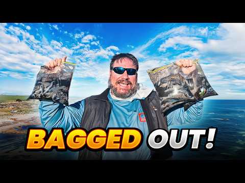 The Best Squid Fishing We've Ever Had from the Rocks!