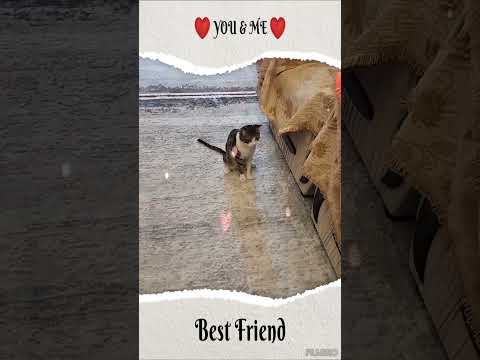 Yusha found tiny friend🥰💗