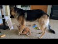 Full Contact