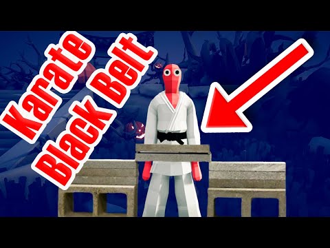 Karate Master vs Mixed Martial Arts 1v1s - Totally Accurate Battle Simulator TABS