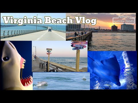 Virginia Beach🏖️Trip Vlog| Travel Vlog| Best places to visit in Virginia Beach|Dolphin watching| Nyf