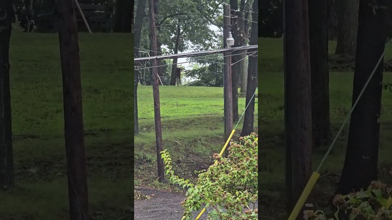 Slenderman Sighting CAUGHT ON CAMERA #vfx