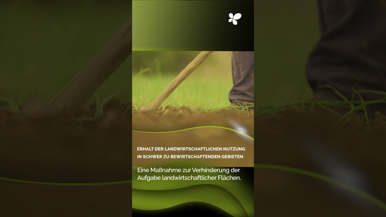 Anreize zur Verhinderung der Aufgabe von Berglandwirtschaftsflächen