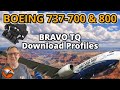B737 700 800 PMDG Downloadable Profiles For Bravo TQ