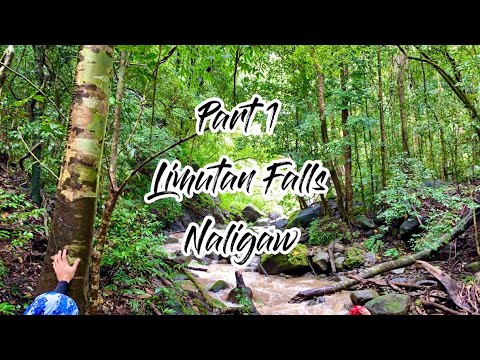 Part 1 Going to Limutan and Ambon Ambon Falls Brgy Parang Bagac Bataan 10.22.20 #Bataan