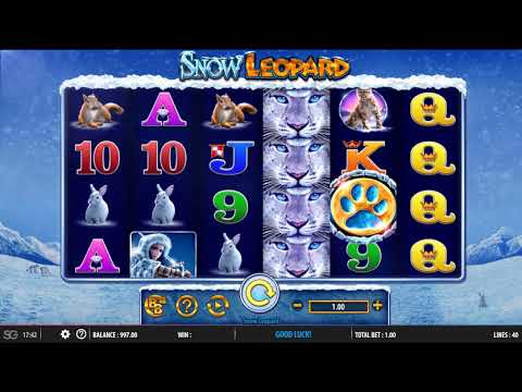 Snow Leopard – Video Gameplay