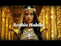 DJ GROSSU _ Arabic Habibi👑Best Arabic & Oriental Instrumental Beats | Official song