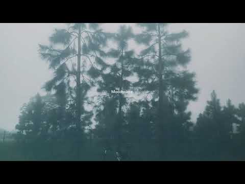 øneheart & analog mannequin - asleep