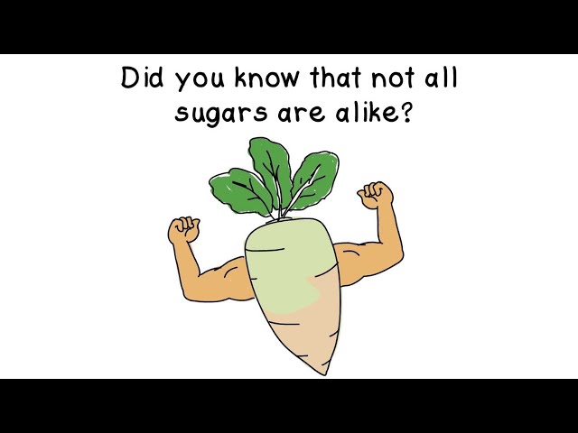 imagen-video-thefoodtech