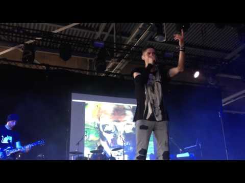 Diorama - Excited the grey (M'era Lune 2016)