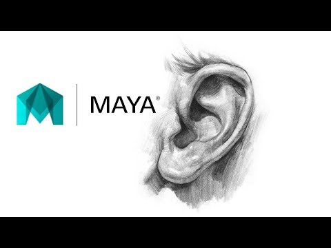Learn Maya Character Head Modeling for Beginners