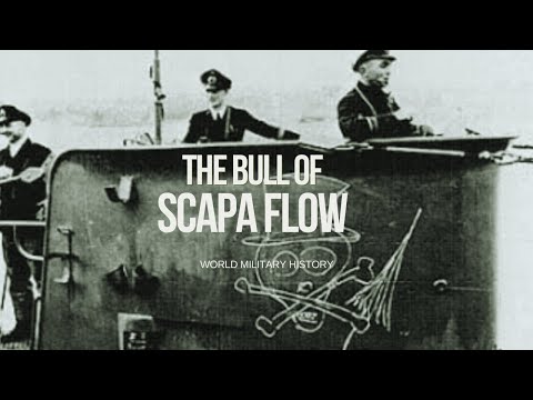 The Bull of Scapa Flow