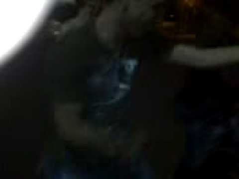 moleques da noite em miguelopolis