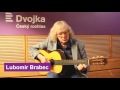 Koncert Lubomíra Brabce a jeho hosta Jaroslava Svěceného