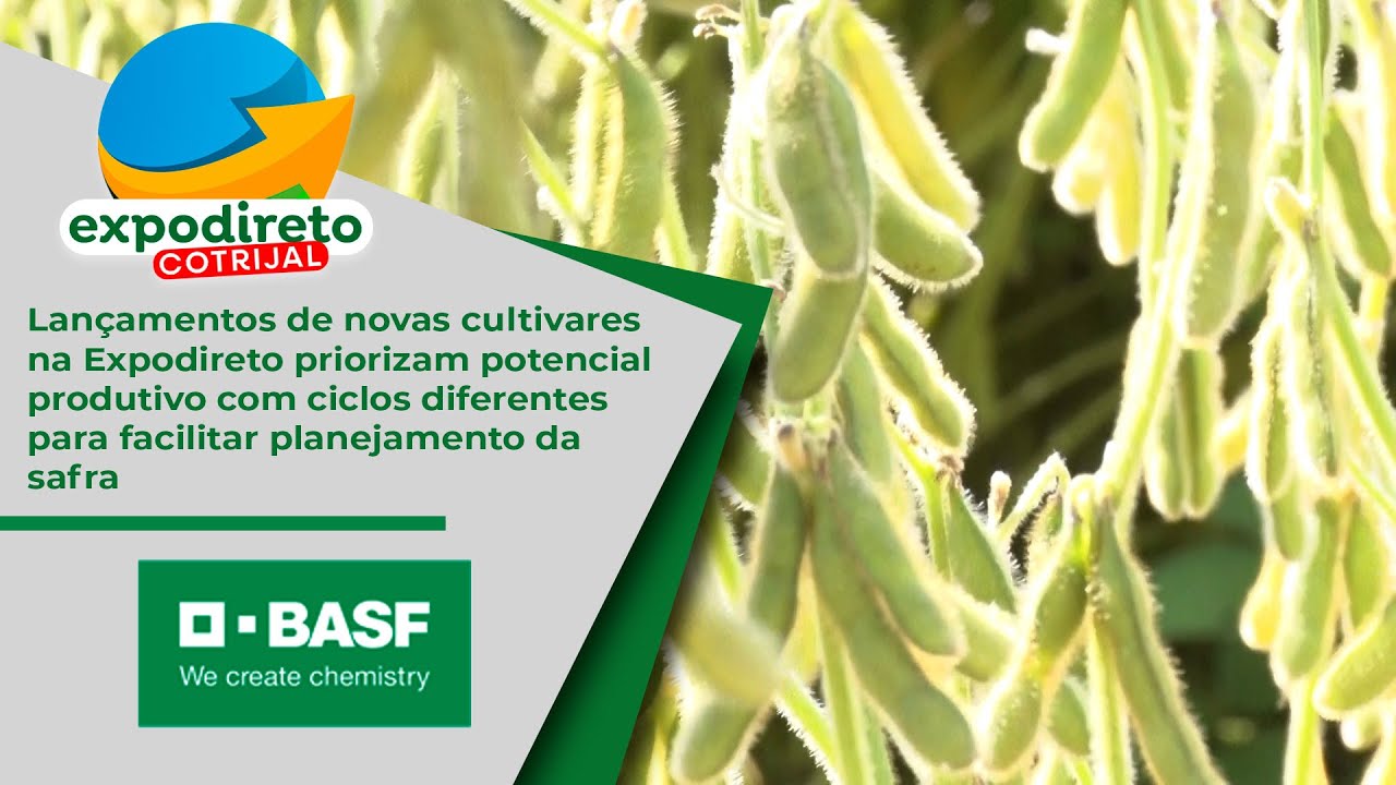 Lançamentos de novas cultivares na Expodireto priorizam potencial produtivo com ciclos diferentes...