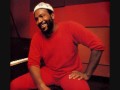 Marvin Gaye "Sanctified Lady"