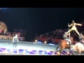 Horses Circus