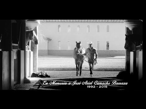 Te Metiste Lyrics English Translation Te Metiste Lyrics English Translation