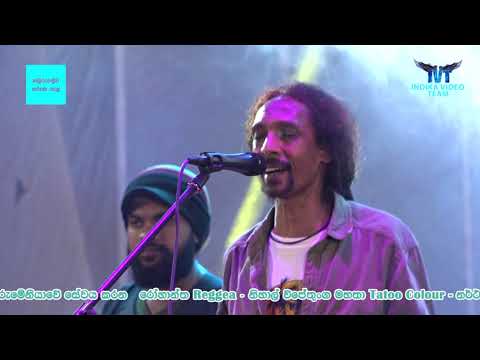 Reggae with Rohantha SECRET 2022  Kamburugamuwa  |  Nisal wijethunga Tattoo Color U
