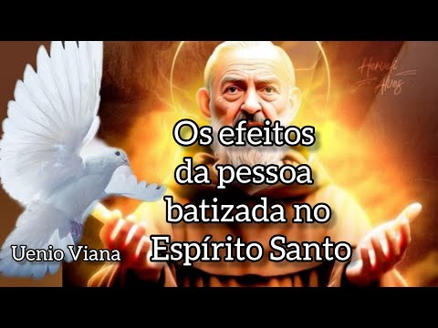 Os efeitos da pessoa batizada no Espírito Santo / Uenio Viana
