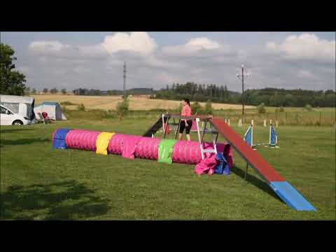 Giffča - 9 měsíců - první agility tábor