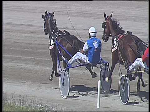 Trotto 04/06/2016 - 2° corsa