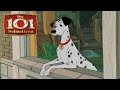 Momento Disney Pongo Busca Novias 101 Dalmatas