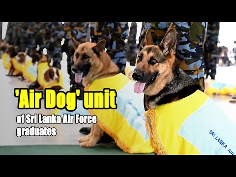 'Air Dog' unit of Sri Lanka Air Force graduates