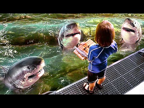 From Kid to HERO | SHARKBOY Best Scenes from Sharkboy & Lavagirl 💛