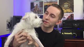 🔴 LIVE: MEET MY DOG!!..and other vinyl stuff