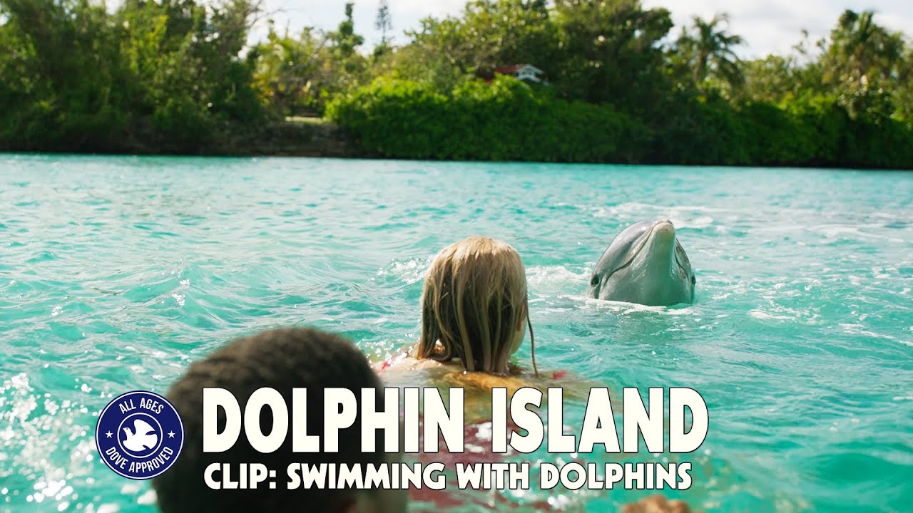 Dolphin Island Video #3