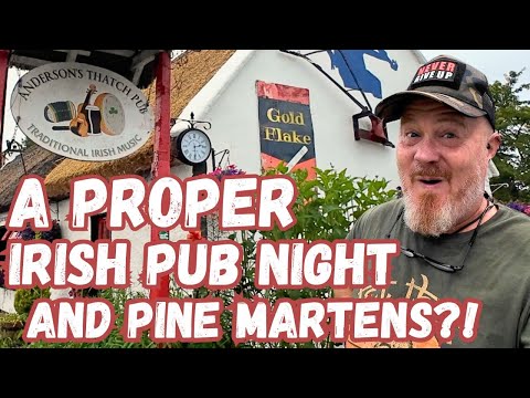 FROM AN IRISH PUB to PINE MARTENS?!